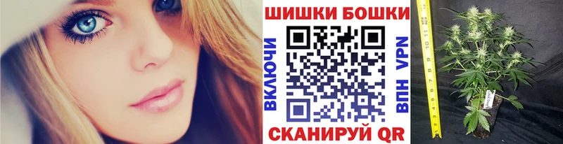 Бошки марихуана THC 21%  где купить наркотик  Горячеводский 
